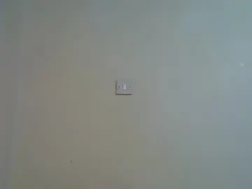 Chaturbate Adult Webcam of sexy_sasy