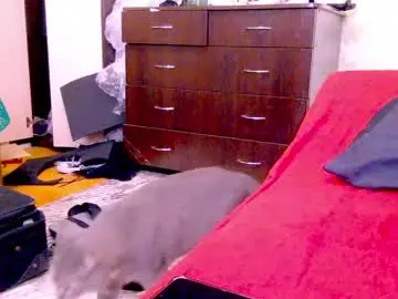 Chaturbate Adult Video Chat of black_sswan