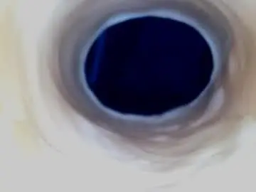 Chaturbate Adult Video Chat of paulainoscente