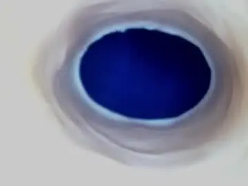 Chaturbate Best live sex cam show of paulainoscente