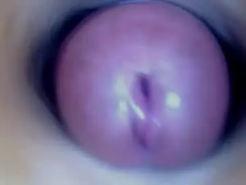 Chaturbate Adult Video Chat of paulainoscente