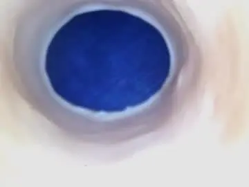 Chaturbate Live Porn of paulainoscente