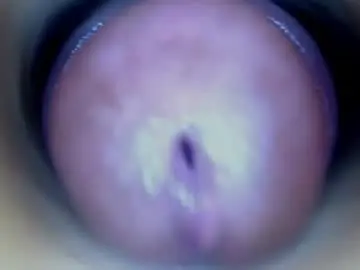 Chaturbate Adult Webcam of paulainoscente