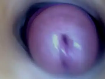 Chaturbate Live Sex of paulainoscente