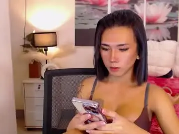 Chaturbate Free Live Porn of transpornidol