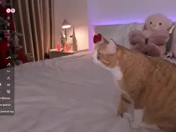 Chaturbate Live Sex of lenstardi