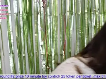Chaturbate Adult Webcams of beckymartens