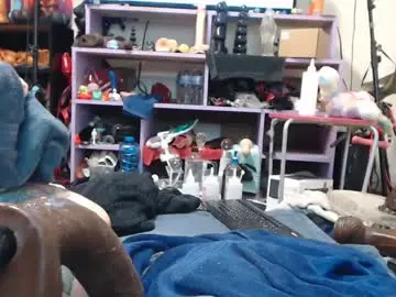 Chaturbate Best Webcam of animergamergirl