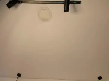 Chaturbate Free Porn Cam of antonella__rouse