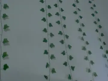 Chaturbate Adult Webcams of mia_garcia2