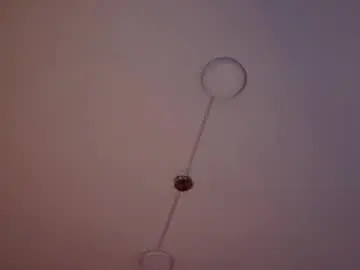 Chaturbate Sex Cam of kitty_collins_