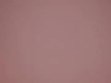 Chaturbate Free Live Porn of _wicked_game