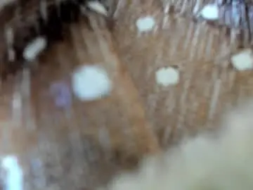 Chaturbate Sex Chat of sayo_mao18