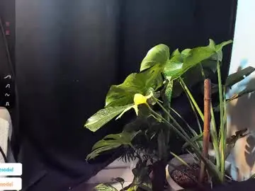 Chaturbate Free Live Porn of lucasanto_