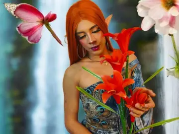 Livejasmin Watch Live Sex Cams of NoahNoir