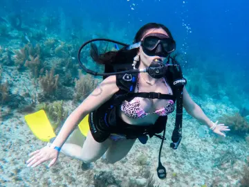 Livejasmin Adult Video Chat of AliceSampaoli