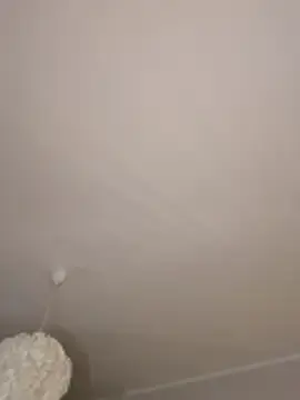 Stripchat Free Porn Cam of Eva_kinkystudent