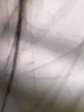 Stripchat Watch Live Sex Cams of Tai_X