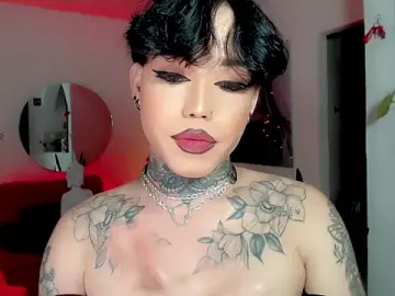 Stripchat Best Webcam of little_star_porn