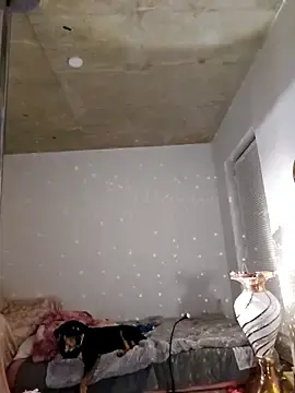 Stripchat Free Live Porn of RaisingDaisy