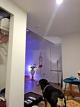 Stripchat Best live sex cam show of RaisingDaisy