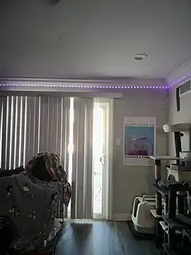 Stripchat Private Sex Chat of ThicBunz