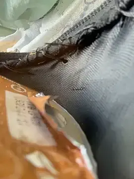 Stripchat Best live sex cam show of Ninabigtitied