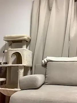 Stripchat Live Porn of H_Kirachan