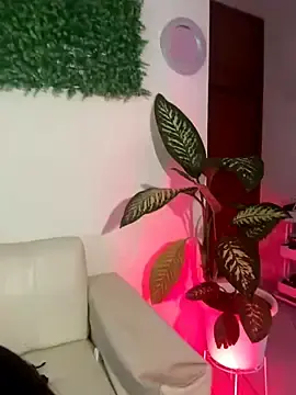 Stripchat Live Sex of Amy_ruizz
