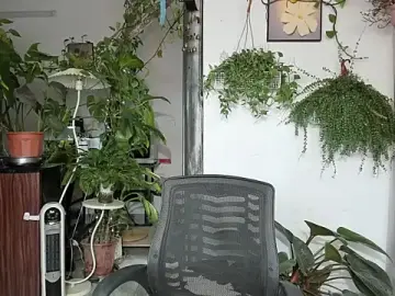 Stripchat Sex Cam of Oliver_Nl