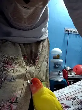 Stripchat Sex Chat of 124pakhi