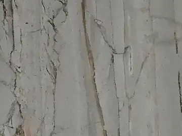 Stripchat Free Porn Cam of Cherry__Hot