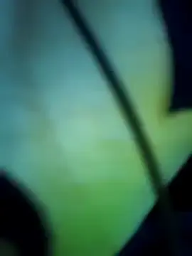 Stripchat Adult Webcam of Ananya_34