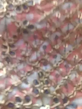 Stripchat Adult Webcam of Ananya_34