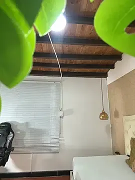 Stripchat Live Porn of Hadley_