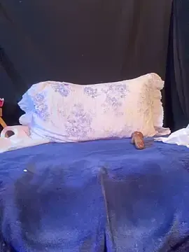 Stripchat Best Webcam of veyolla_betsh