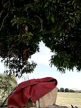 Stripchat Sex Cam of Clery_lin