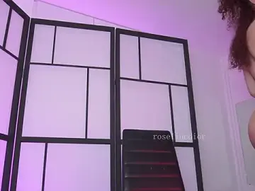 Stripchat Adult Webcams of roselinedior