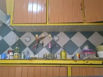 Stripchat Free Live Porn of Jony_Marta