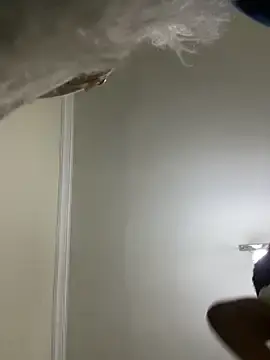 Stripchat Best Webcam of Boneca25