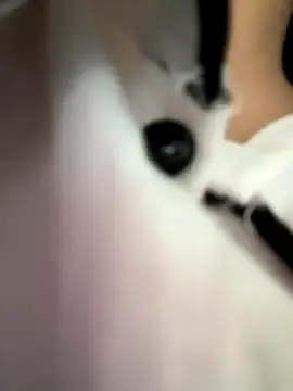 Stripchat Best live sex cam show of Xixi-Gala