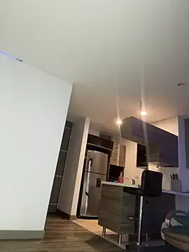 Stripchat Adult Webcams of Dominiofit