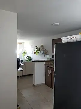 Stripchat Free Live Porn of RachellGraham