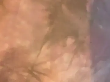 Stripchat Best Webcam of ORLA86