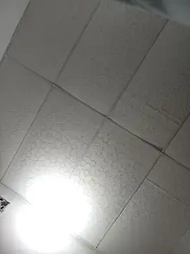 Stripchat Sex Cam of luna_asss