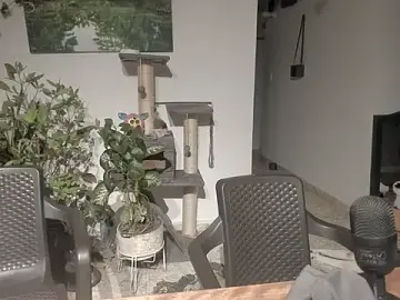 Stripchat Adult Webcams of sexnherbs