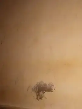 Stripchat Live Porn of yaraa49
