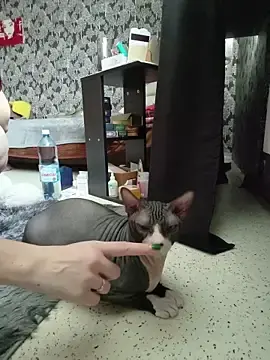 Stripchat Nude Webcam of Frost_foxy