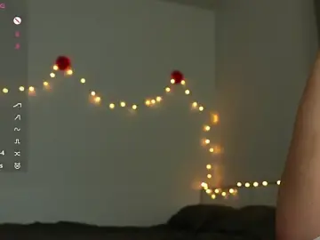 Stripchat Adult Webcams of pussysvittyy