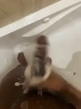 Stripchat Free Live Porn of dingoding